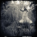 Laura Hermann Photo 16