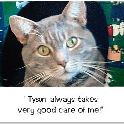 Tyson Steele Photo 10