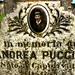 Andrea Graves Photo 4