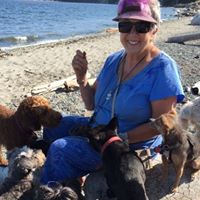 Jill Dewolfe Photo 1