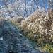 Terrence Winters Photo 12