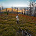 Justin Meadows Photo 16