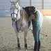 Alyssa Peters Photo 30