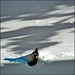 Jay Snow Photo 22