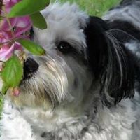 Bobbie Wagner Photo 15