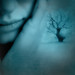 Sandra Kindred Photo 17