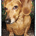 Lindsey Card Photo 5
