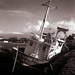 Louise Galloway Photo 24