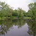 Sandy Brooks Photo 30