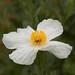 Teresa Keck Photo 29