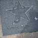 Robin Carlton Photo 6
