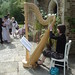 Allen Harp Photo 4