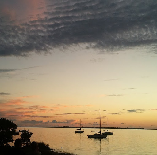 Jane Griggs Photo 29
