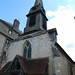 Stephen Spires Photo 11