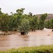 Alice Flood Photo 3