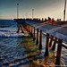 Len Goldman Photo 11