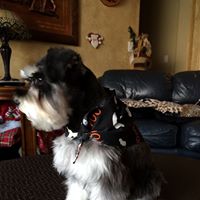 Lynda Stavros Photo 1
