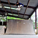 Steven O'Donnell Photo 17