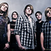 Mike Gavigan Photo 13