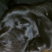 Theodore Weber Photo 14
