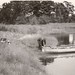 Leonard Frank Photo 10