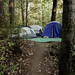 Julie Echols Photo 22