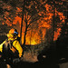 David Broadwell Photo 15