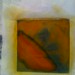 Jill Timms Photo 8