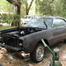 Tracy Dodge Photo 5