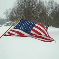 Joann Drake Photo 6