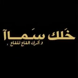 Ali Alshawi Photo 7
