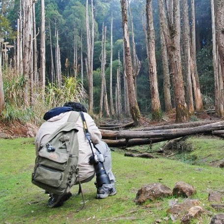 Sam Yang Photo 20