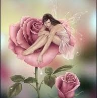 Araceli Rocha Photo 8