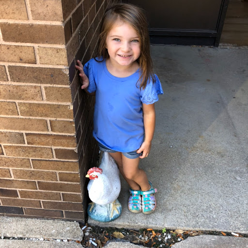 Shawn Skelly Photo 10