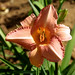 Terri Ellis Photo 22
