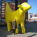 Tracy Lamb Photo 31