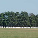Donald Hays Photo 20