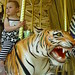 Anna Tiger Photo 16