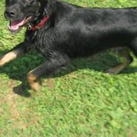 Ernie Payne Photo 6