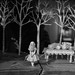 Alice Blackwell Photo 16