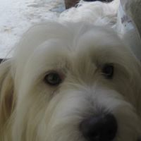 Eugenio Gomez Photo 10