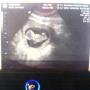 Debra Layne Photo 14