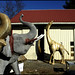 Mark Jarrett Photo 37