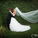 Beverly Sullivan Photo 23