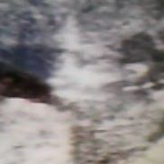 Emily Peake Photo 3