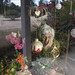Catherine Shea Photo 9