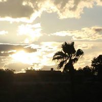 Kathy Robertson Photo 48