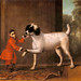 Thomas Osborne Photo 35