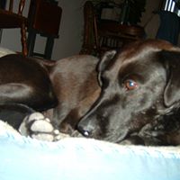 Betty Eldridge Photo 11