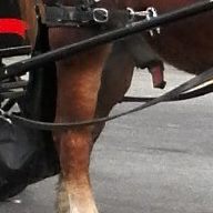Steven Chenoweth Photo 8